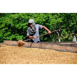 Café connaisseur du Pérou – un arôme riche et authentique né de la passion des producteurs d’Incahuasi.