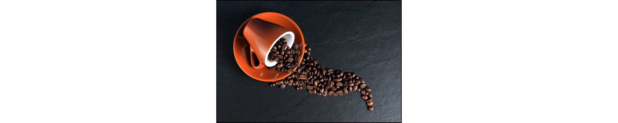 Café dégustation
